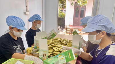 Tăng giá trị nông sản theo tiêu chuẩn VietGAP