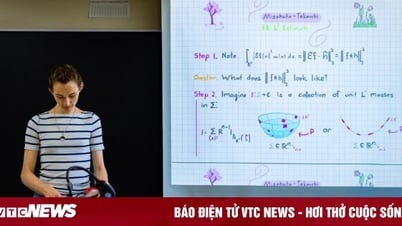 Thiếu nữ 17 tuổi giải mã được bí ẩn Toán học tồn tại suốt 40 năm