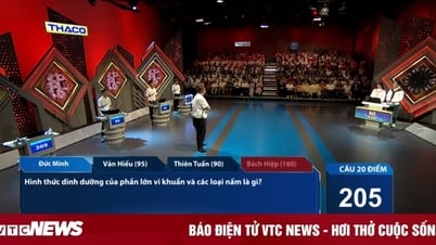 Lần đầu tiên cuộc thi quý Đường lên đỉnh Olympia có 5 thí sinh tham dự