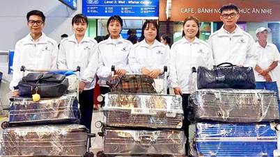 Hơn 85.700 lao động Việt Nam đi làm việc ở nước ngoài