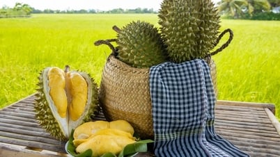 Giá sầu riêng hôm nay 17/8: Đắk Lắk tăng mạnh, Thái VIP đạt 95.000 đồng/kg