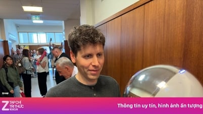 Cha đẻ ChatGPT ví AI như bong bóng dot-com