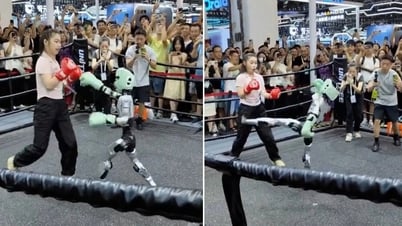 Clip “trận đấu võ tự do giữa con người và robot” nổi bật tuần qua
