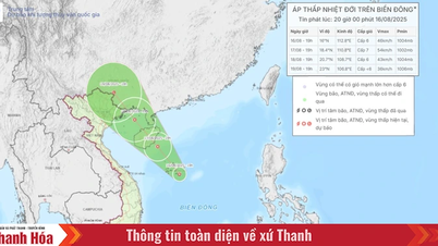 Tin áp thấp nhiệt đới trên biển Đông