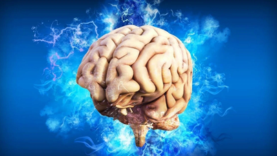 Tham vọng 'chỉnh sửa' não người để điều trị bệnh thần kinh