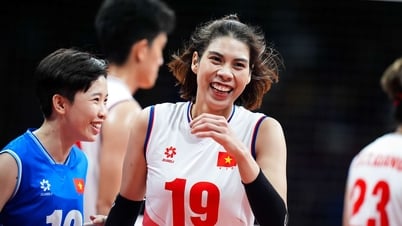 Lịch thi đấu giao hữu của tuyển bóng chuyền nữ Việt Nam