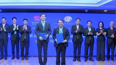 Nâng tầm hợp tác TP.HCM - Busan, mở rộng chuỗi giá trị toàn cầu