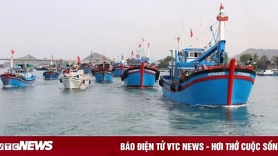 Yêu cầu quản lý chặt tàu thuyền ra khơi khi áp thấp nhiệt đới mạnh lên