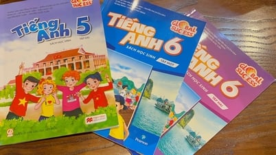 Vụ nghi sách giả: Nhiều trường thu lại sách để kiểm tra