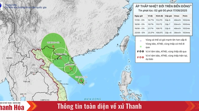 Công điện về việc ứng phó với áp thấp nhiệt đới trên Biển Đông