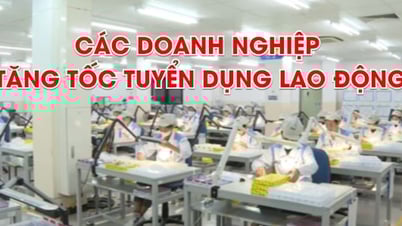 Bản tin Kinh tế tuần 2, tháng 8/2025: Các doanh nghiệp tăng tốc tuyển dụng lao động