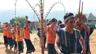 Từ ý muốn đến thực tại