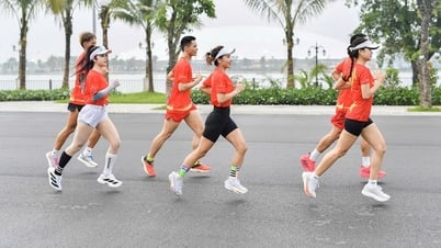 Gần 19.000 VĐV đăng ký giải chạy 'Việt Nam tôi đó' trên cung đường đẹp như mơ