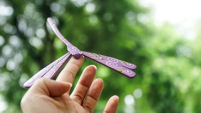 Hà Nội mang khăn lụa, chuồn chuồn tre đến Nhật Bản quảng bá du lịch