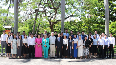 Giáo dục đại học sau sáp nhập: Đại học vùng xứng danh 'anh cả'