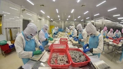 Kế hoạch tài chính - ngân sách Nhà nước tỉnh Cà Mau 03 năm (2026 - 2028) 