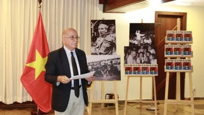 Pedro da Oliveira: Từ giảng đường Sao Paulo tới nhịp cầu gắn kết Việt Nam - Brazil