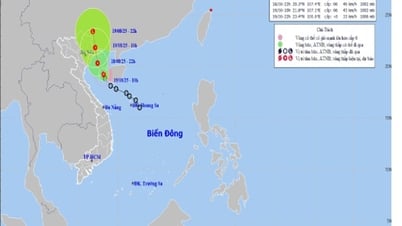Tin áp thấp nhiệt đới khẩn cấp, Hải Phòng có gió mạnh, mưa lớn