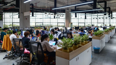 VNG lọt top 29 doanh nghiệp tư nhân đóng thuế lớn nhất Việt Nam