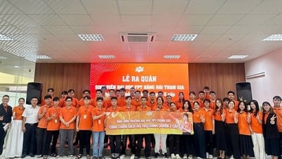 ดานังส่งนักศึกษา 100 คน เพื่อสนับสนุนเทคโนโลยีสารสนเทศในตำบลและเขตต่างๆ