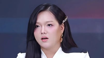변호사는 Pham Thoai의 자선 모금 활동과 관련된 소음에 대해 무엇이라고 말했나요?