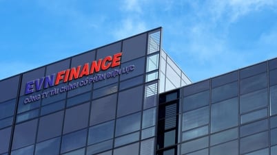 Veränderungen bei EVN Finance, CEO tritt zurück: „Gute Geschäfte“ nach dem Ausscheiden aus der EVN