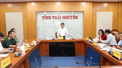 タイ・グエンは建国記念日を祝うためにアートプログラムと花火大会を企画します。