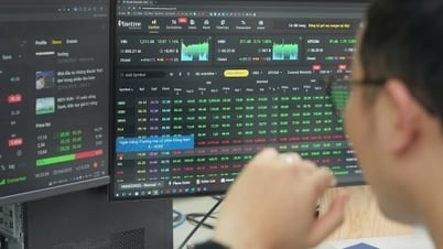 주식 시장 전망 18-22/8주차: 보유 유지하되 손절매 한도 상향 필요