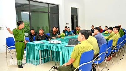 Tăng cường lực lượng tìm kiếm nam du khách mất tích trong rừng Cúc Phương
