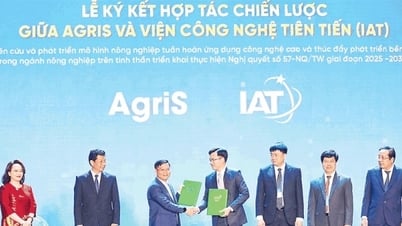 Nâng cao chất lượng phục vụ, bảo đảm mục tiêu tăng trưởng