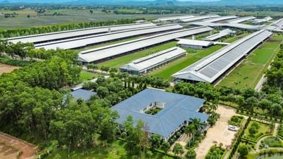 Vinamilk được vinh danh là thương hiệu sữa tiềm năng nhất thế giới