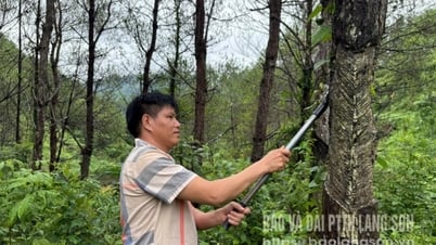 Nà Va vươn lên từ nội lực