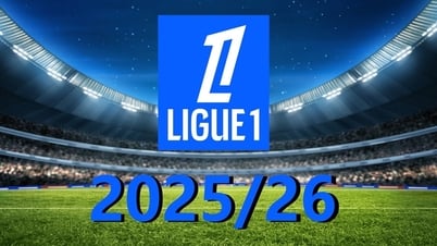 Kết quả bóng đá Ligue 1 2025/26 mới nhất