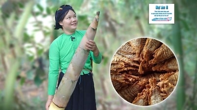 Trải nghiệm: Chế biến sản phẩm từ cây "xóa đói giảm nghèo" của núi rừng Lâm Thượng