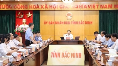 Bắc Ninh tổ chức sản xuất theo tiêu chuẩn gắn với chế biến nông sản phục vụ xuất khẩu