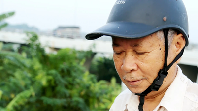 Thưởng thức chả cá Vền sông Lô