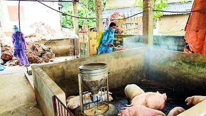 Thái Nguyên tăng cường cán bộ thú ý cho cơ sở