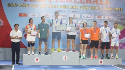 Giải Pickleball các Câu lạc bộ tỉnh Điện Biên lần thứ II, năm 2025 thành công tốt đẹp