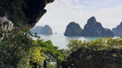 Investigación sobre el establecimiento del Área Marina Protegida de la Bahía de Ha Long