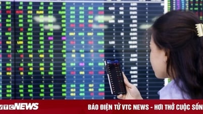 Chứng khoán liên tục lập đỉnh, người mới chơi có nên đầu tư?