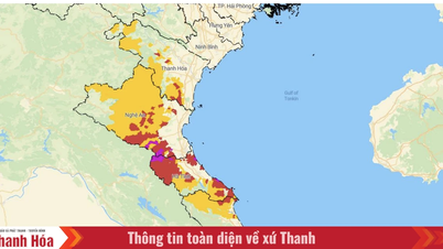Cảnh báo lũ quét, sạt lở đất khu vực từ Thanh Hóa đến Quảng Trị