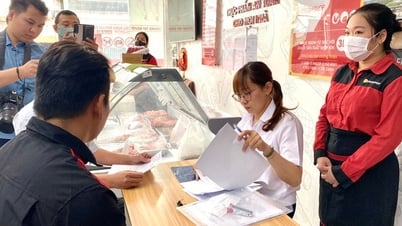 Hé lộ doanh thu của C.P. Việt Nam sau vụ ầm ĩ thịt heo