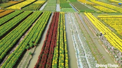 Diện mạo mới ở Mỹ Phong