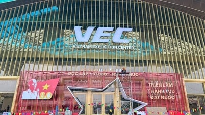 Thẩm định maket thiết kế nhận diện Triển lãm Thành tựu đất nước