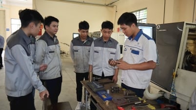 Cơ hội rộng mở thúc đẩy hợp tác lao động Hải Phòng - Nhật Bản