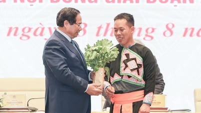 Chàng trai người Mông 9X khởi nghiệp từ trồng rau an toàn 