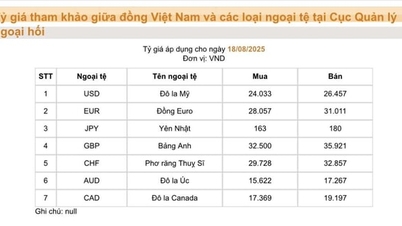 Nhiều đồng tiền biến động trong ngày đầu tuần