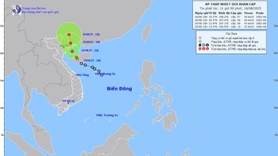 Áp thấp nhiệt đới vào vịnh Bắc Bộ, gây mưa to tại Đông Bắc Bộ và Bắc Trung Bộ