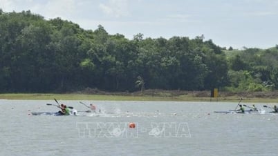 全国ボート競技には700人以上の選手が参加する