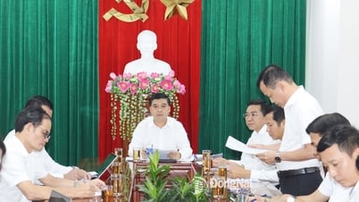 Tăng cường nhân sự cho Phước Tân giải phóng mặt bằng khu tái định cư hơn 49ha